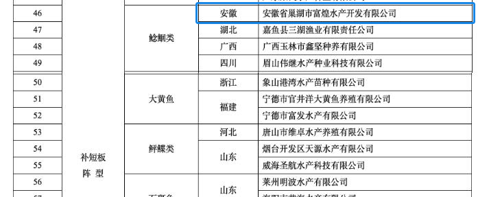优发国际-随优而动一触即发